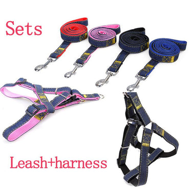 Dog Leash Harness Adjustable & Durable Leash Set & Heavy Duty Denim Dog Leash Collar - large